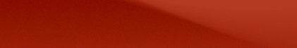 theme color bg