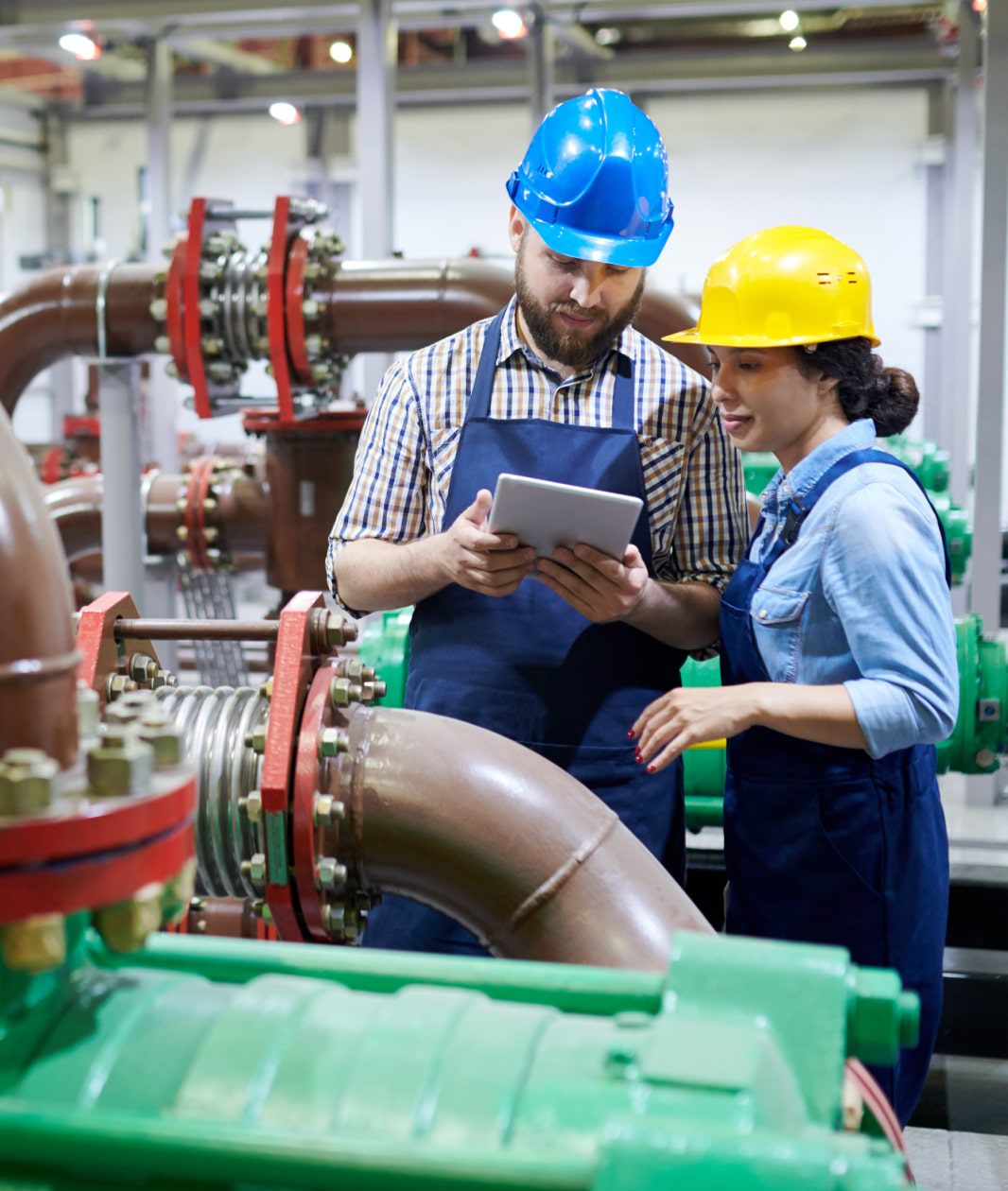 AWWA_Volunteer_GetInvolved_VolunteerWithAProgram_03-min