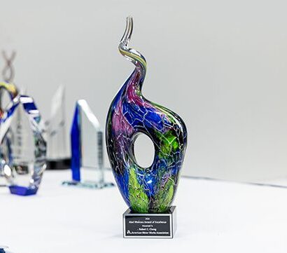 Abel Wolman Award of Excellence