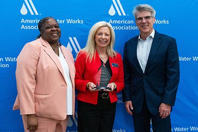 AbelWolman-KDS-website