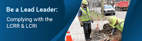 Be a Lead Leader: Complying with the LCRR & LCRI