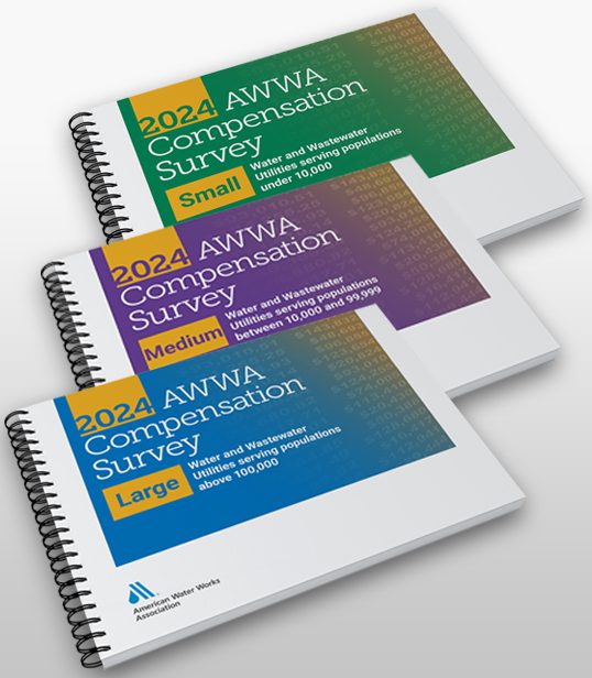 Compensation Survey 2024