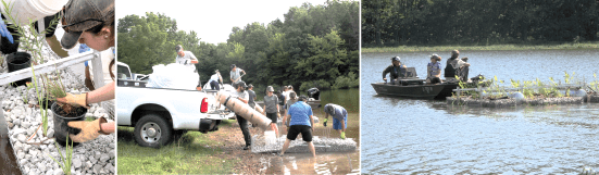 Installing floating wetland in Missouri lake