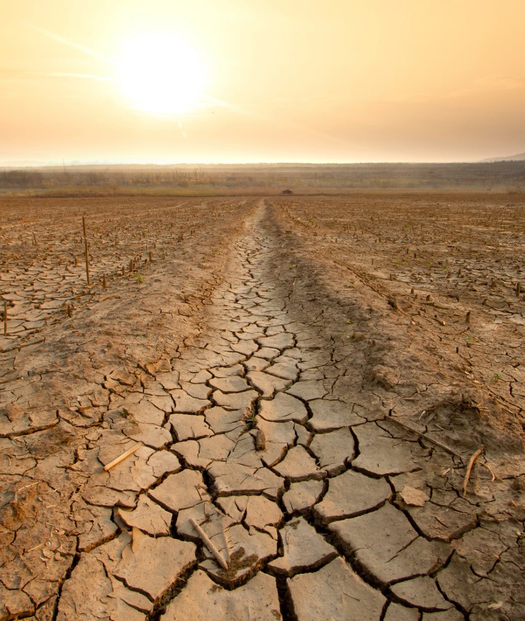 JournalsAndMagazines_ResearchSpotlight_ClimateChangeAndAdaption-min