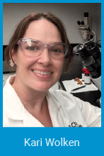 Kari Wolken
