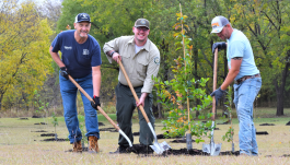 Volunteers plant trees and restore the riparian area as part of North Texas Municipal Water District's source water protection plan.