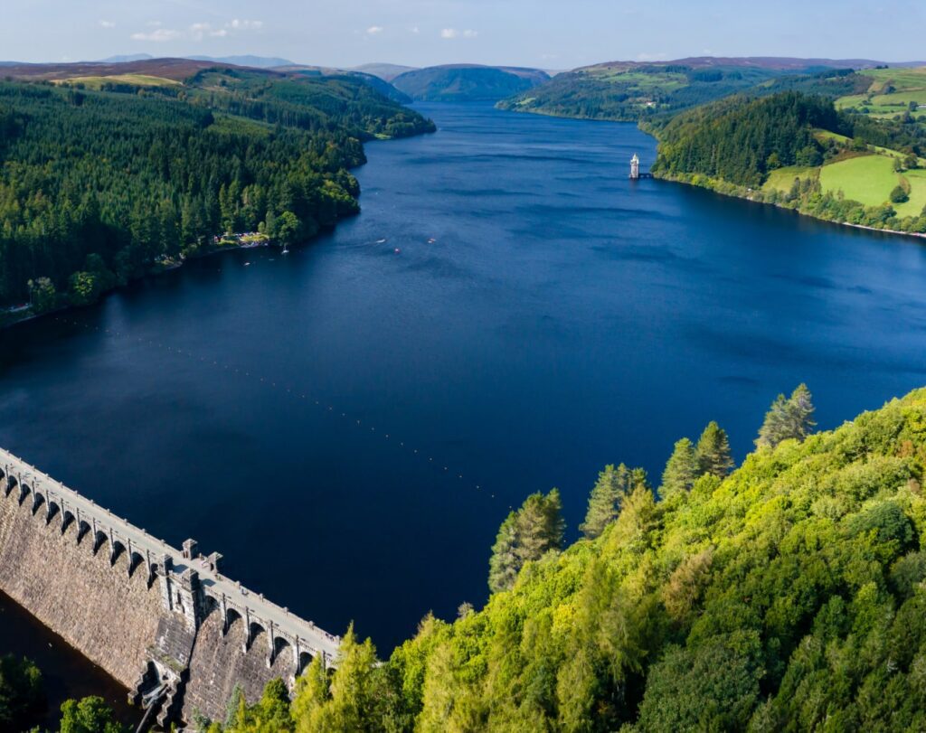 PolicyAdvocacy_Resilient-min