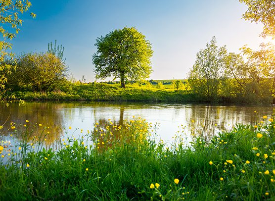 RES_Sustainability