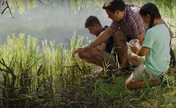 Social Demographic Issues