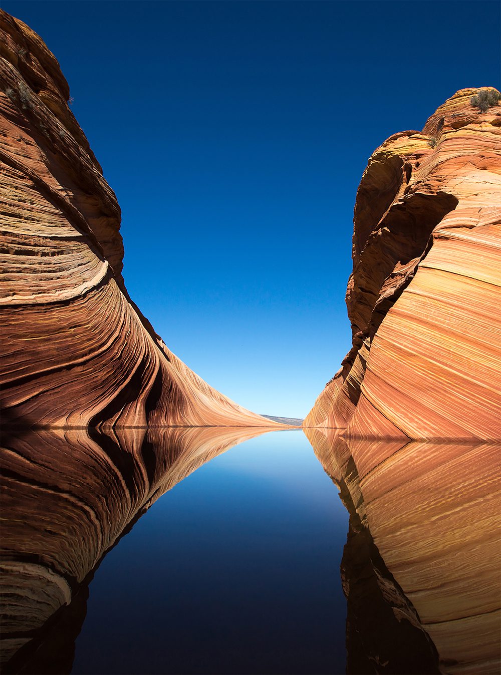 Sustainabiliy Think Tank Ribbonrock Water