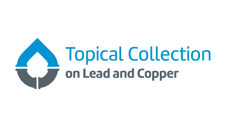 Topical Collection Lead Logo