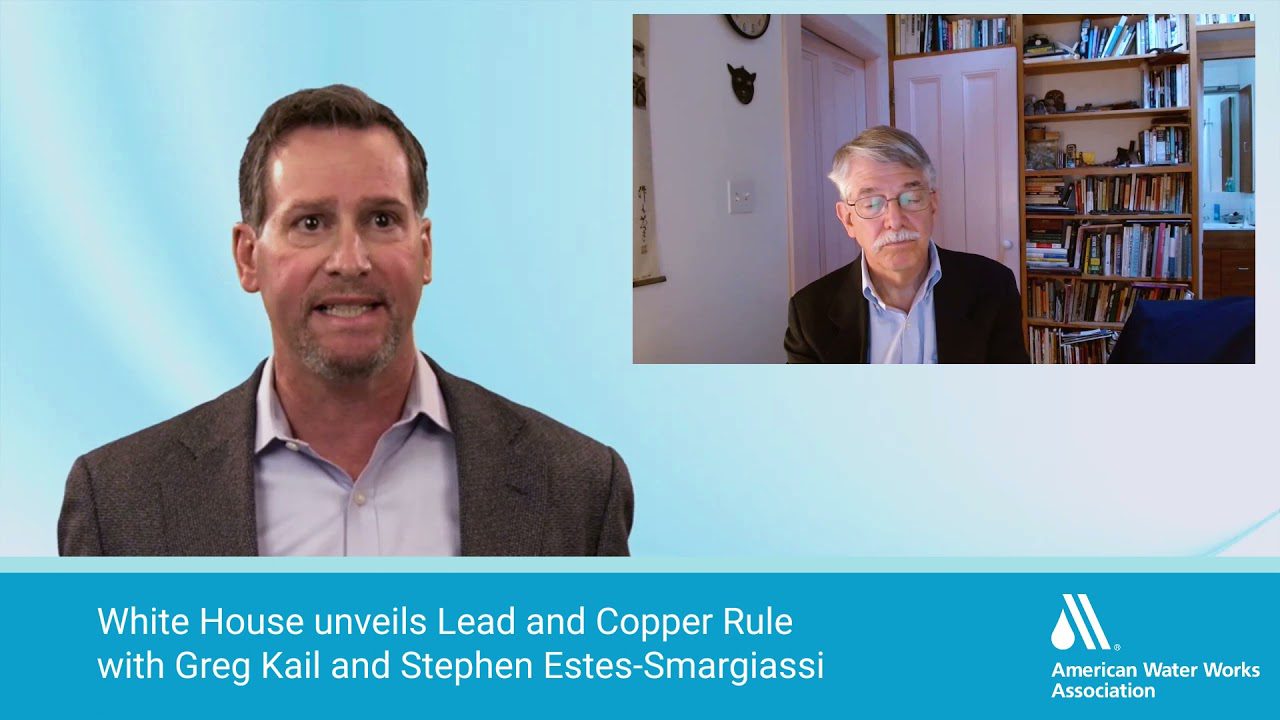 Video Lead and Copper