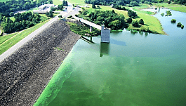 Milford-lake-with-algal-bloom.png