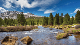 Truckee Meadows Rivert